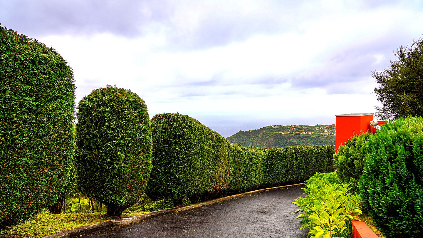 The drive up to the villa between clipped cypress hedges, the orange tower and the Atlantic beyond
